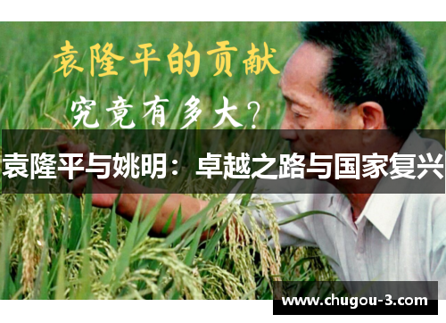 袁隆平与姚明：卓越之路与国家复兴